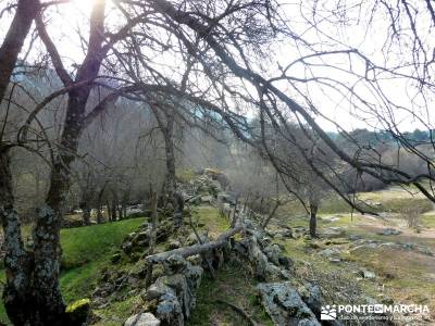 Fortines y Trincheras: Río Cofio; caminito del rey monasterio de piedra viajes lagunas de ruidera